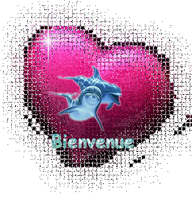 Vous etes les bienvenues