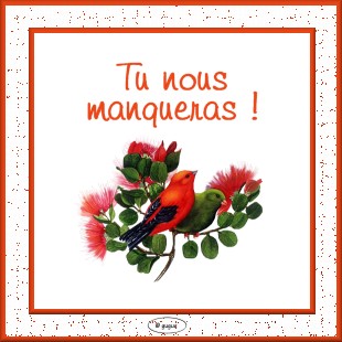 tu nous mankera