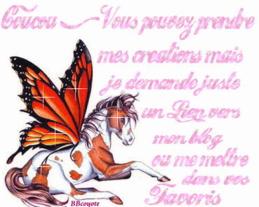 POUR MES VISITEURS